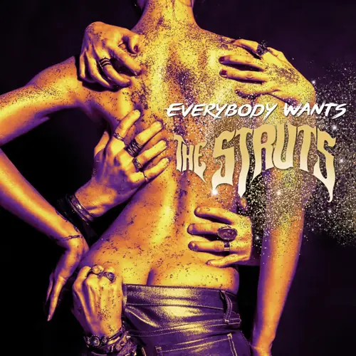 Could Have Been Me by The Struts